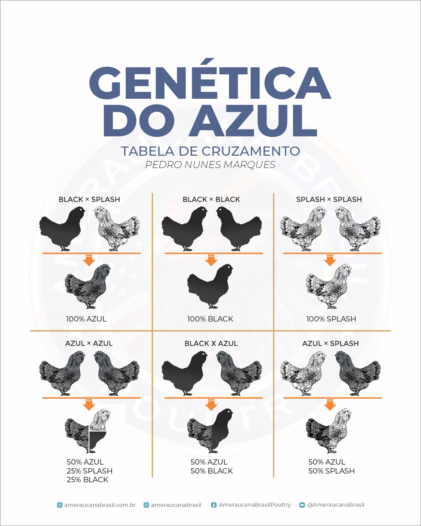 Cruzamentos genéticos ilustrados