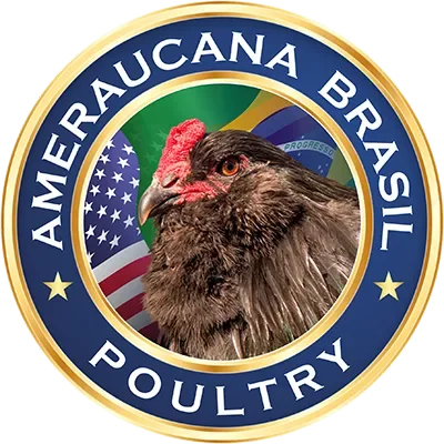 AMERAUCANA BRASIL POULTRY